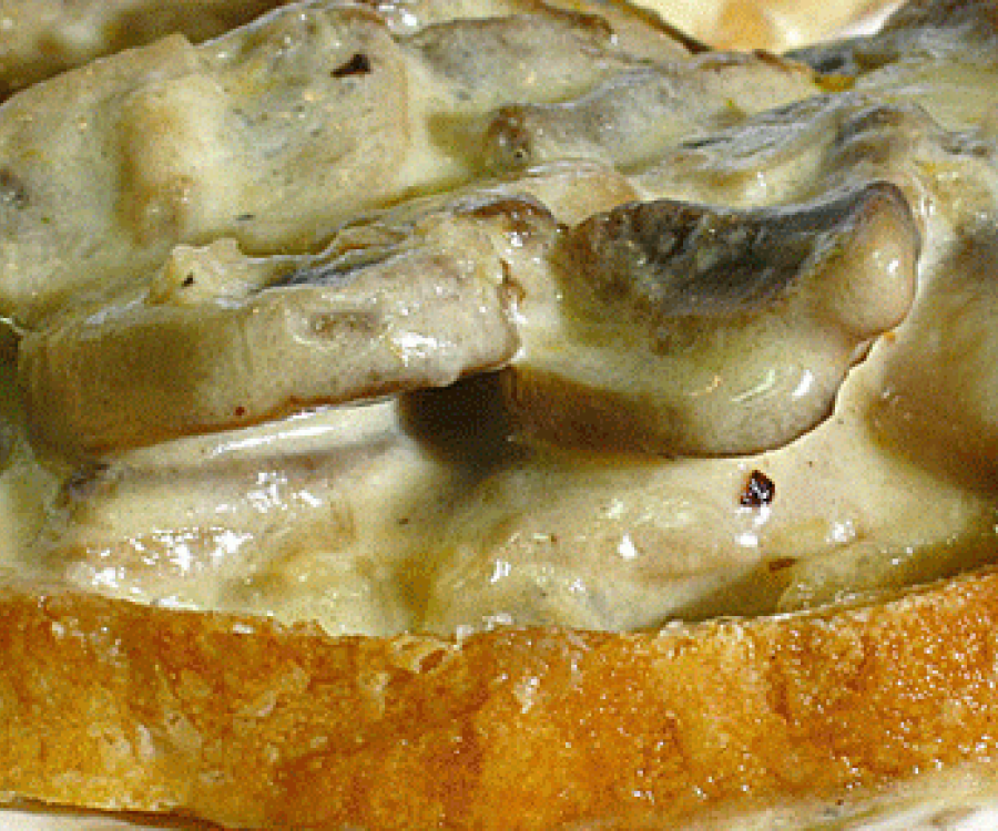Crostoni di funghi alla besciamella